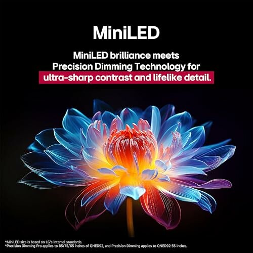 Colorful flower with MiniLED technology text overlay.