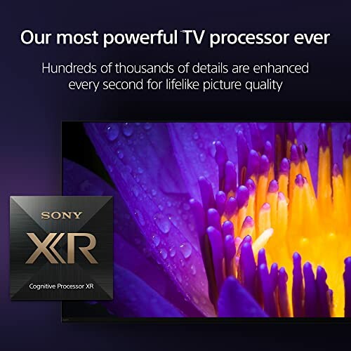 Sony XR Cognitive Processor TV with vibrant flower display.
